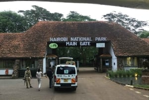 Half day Nairobi National Park with free pick up