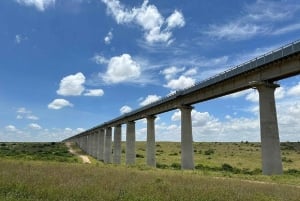 Half day Nairobi National Park with free pick up