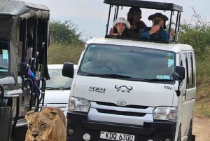 Medio día en el Parque Nacional de Nairobi con recogida gratuita.