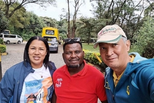 Medio día en el Parque Nacional de Nairobi con recogida gratuita.