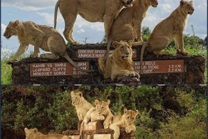 Medio día en el Parque Nacional de Nairobi con recogida gratuita.