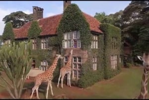 Half day Nairobi tour including shedrick and giraffe center