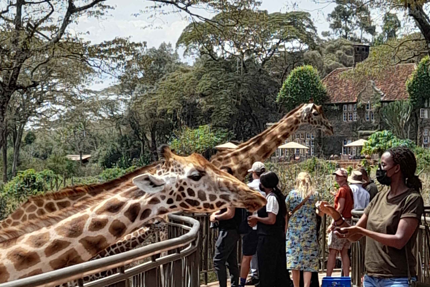 Halbtagestour Giraffe Center und Sheldrick Wildlife Trust