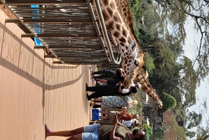 Excursion d'une demi-journée au centre des girafes et au Sheldrick Wildlife Trust