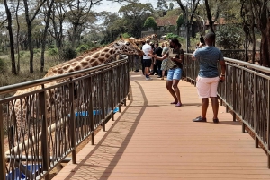 Halvdagstur til Girafcentret og Sheldrick Wildlife Trust
