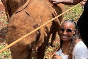 Excursion d'une demi-journée au centre des girafes et au Sheldrick Wildlife Trust