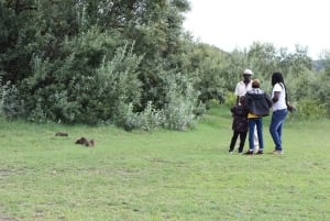 Sykkelsafari til Hell's Gate og flodhsafari ved Naivashasjøen