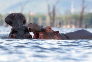 Hell's Gate, Naivasha i Crescent Island – całodniowe safari