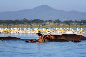 HELL'S GATE AND LAKE NAIVASHA BOAT RIDE FROM NAIROBI.