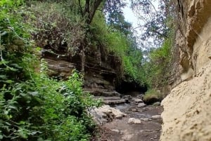 HELLS GATE AND LAKE NAIVASHA DAY TRIP FROM NAIROBI.