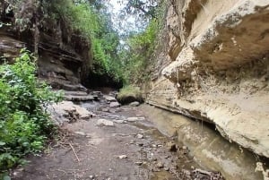 HELLS GATE AND LAKE NAIVASHA DAY TRIP FROM NAIROBI.