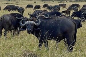 Wycieczka 1-dniowa: Hells Gate i opcjonalny rejs po jeziorze Naivasha