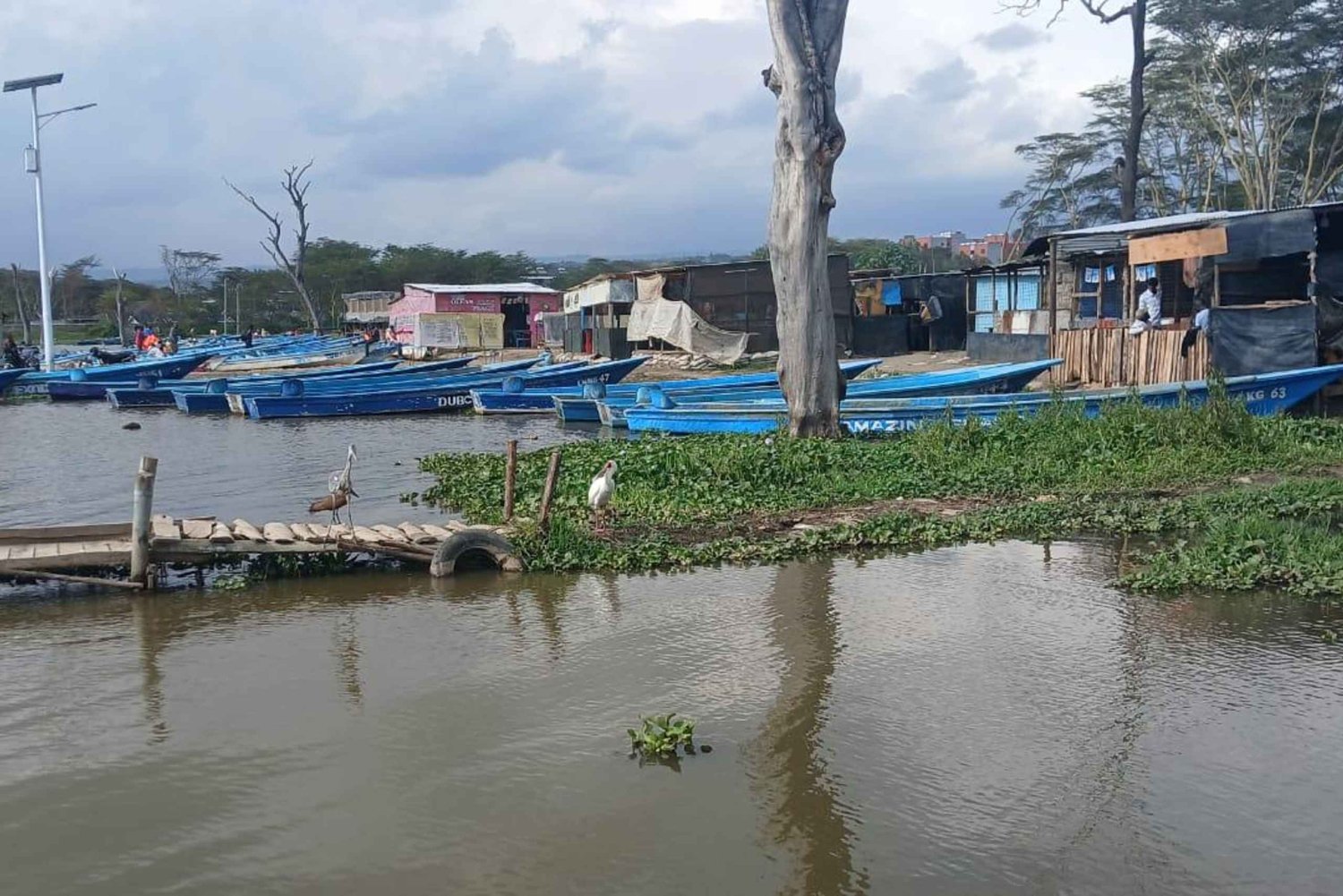 Balade à vélo à Hell's Gate et tour en bateau à Crescent Island