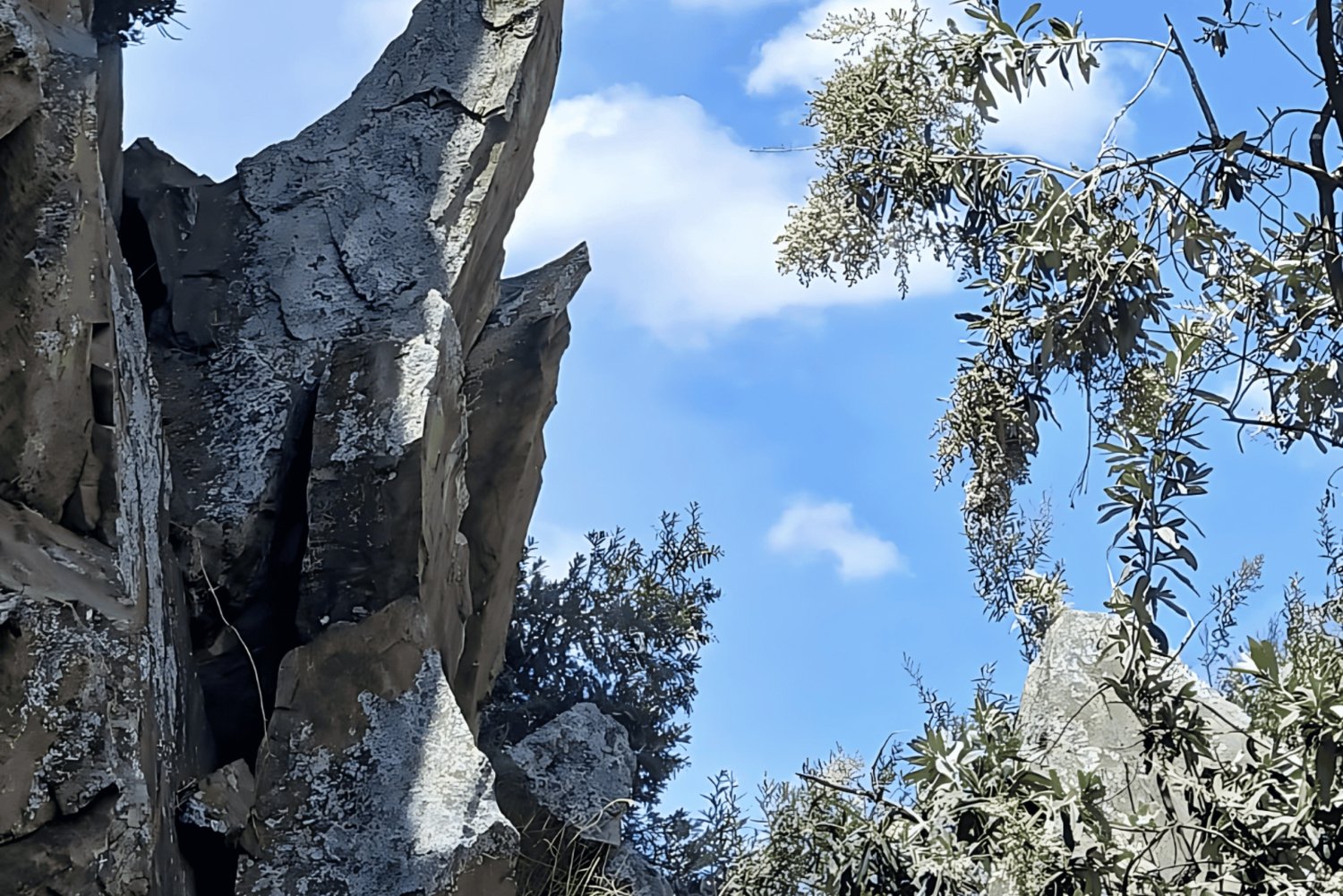 Balade à vélo à Hell's Gate et tour en bateau à Crescent Island