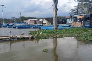 Balade à vélo à Hell's Gate et tour en bateau à Crescent Island