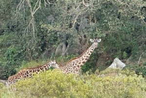Balade à vélo à Hell's Gate et tour en bateau à Crescent Island
