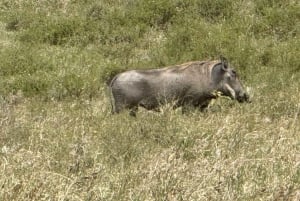 Balade à vélo à Hell's Gate et tour en bateau à Crescent Island