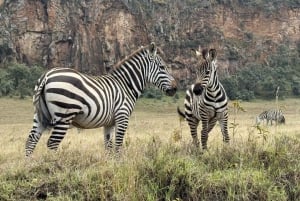 Balade à vélo à Hell's Gate et tour en bateau à Crescent Island