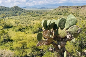 Hell's gate bike tour and lake Naivasha boat safaris
