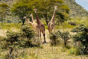 Hell's gate bike tour and lake Naivasha boat safaris