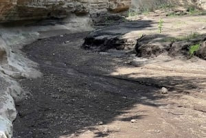 Hell's Gate e Lago Naivasha: passeio de bicicleta, caminhada e passeio de barco
