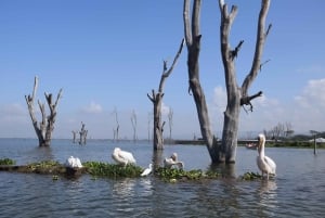 Hell's Gate e Lago Naivasha: passeio de bicicleta, caminhada e passeio de barco