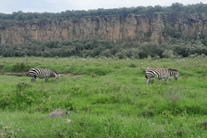 Excursion d'une journée au parc national de Hells Gate et au lac Naivasha