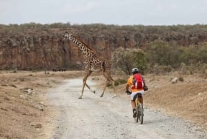 Hell's Gate National Park and Lake Naivasha Day Tour