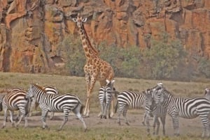 Hell's Gate National Park and Lake Naivasha Day Tour