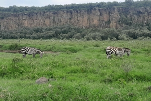 Hells Gate National Park and Lake Naivasha Day Tour