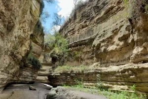 Nairobi: Visita ao Parque Nacional Hell's Gate e ao Lago Naivasha