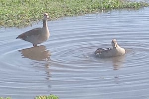Nairobi: Visita ao Parque Nacional Hell's Gate e ao Lago Naivasha