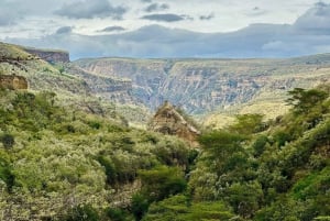 Dagtrip Nationaal Park Hell's Gate en Lake Naivasha