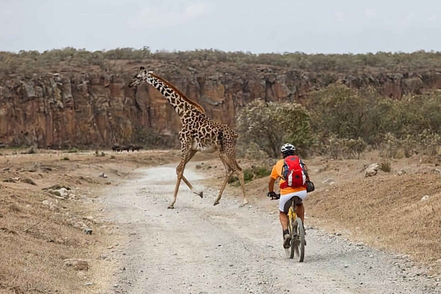 Tour di un giorno del Parco Nazionale di Hell's Gate e del Lago Naivasha con giro in barca