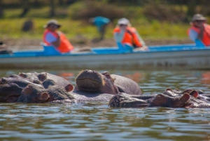 Hells Gate National Park & Lake Naivasha Boat Ride