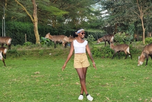 Hells Gate National Park & Lake Naivasha Boat Ride