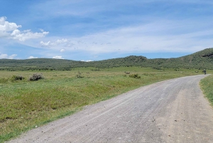 Hells Gate National Park & Lake Naivasha Boat Ride