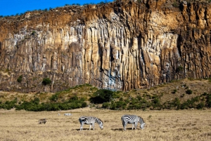 Hells Gate National Park & Lake Naivasha Boat Ride