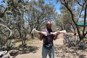 Parque Nacional Hells Gate e passeio de barco no Lago Naivasha