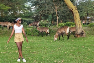 Parque Nacional Hells Gate e passeio de barco no Lago Naivasha