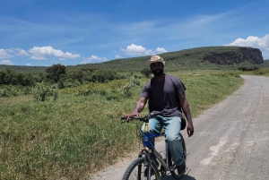 Parque Nacional Hells Gate e passeio de barco no Lago Naivasha