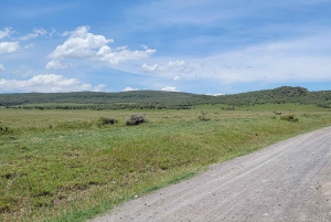 Parque Nacional Hells Gate e passeio de barco no Lago Naivasha