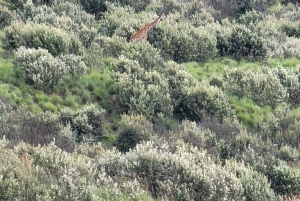 Parque Nacional Hells Gate e passeio de barco no Lago Naivasha