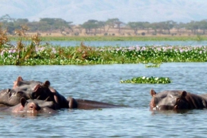 Parque Nacional Hells Gate e passeio de barco no Lago Naivasha