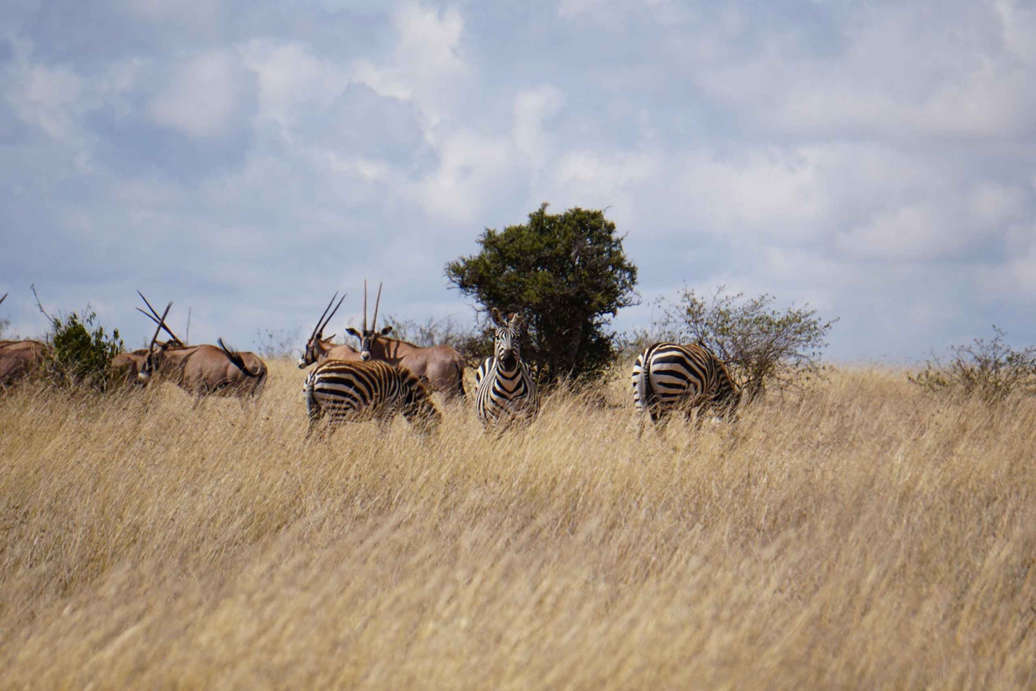 La Puerta del Infierno: Donde tus sueños keniatas más salvajes se hacen realidad