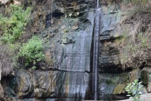 Hell's Gate og Naivasha-sjøen: sykkeltur, fottur og båttur