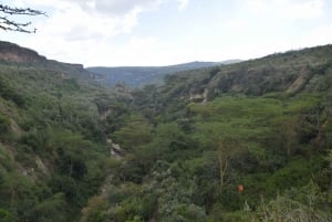 Hell's Gate og Naivasha-sjøen: sykkeltur, fottur og båttur