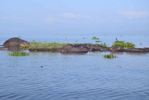 Hell's Gate og Naivasha-sjøen: sykkeltur, fottur og båttur