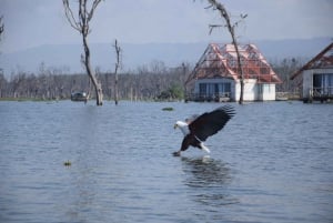 Hell's Gate og Naivasha-sjøen: sykkeltur, fottur og båttur