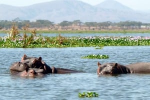 Excursión de un día a la Puerta de Ell con paseo en barco por el lago Naivasha